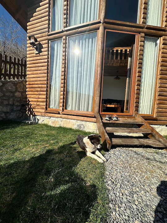 Yorum fotoğrafı 4