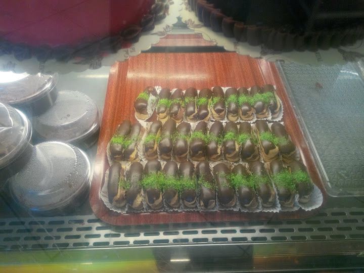 Fotoğraf 14