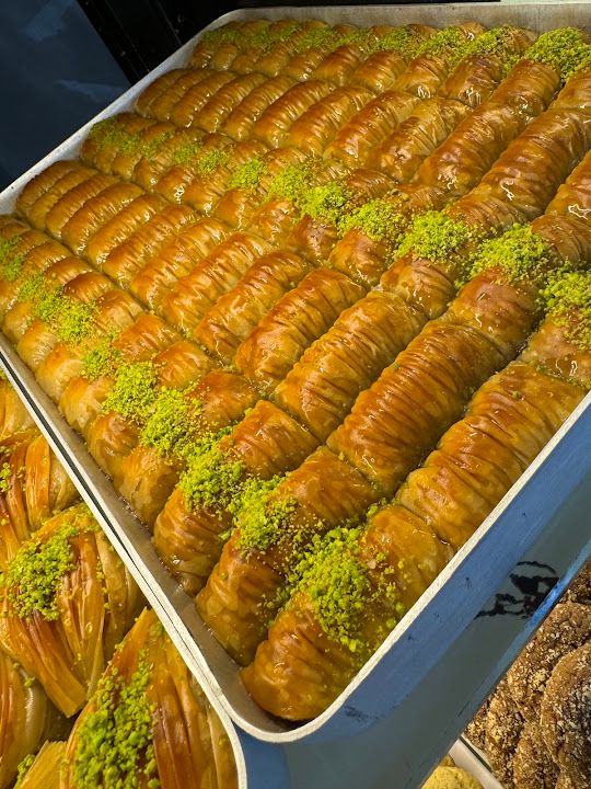 Fotoğraf 26