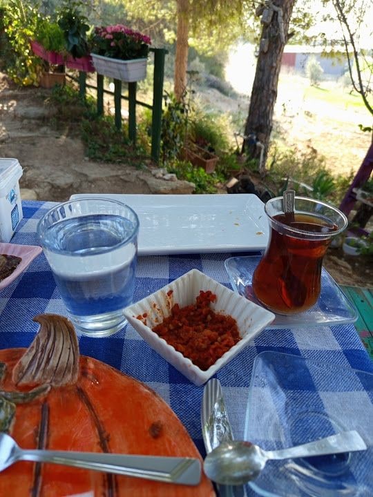Fotoğraf 30