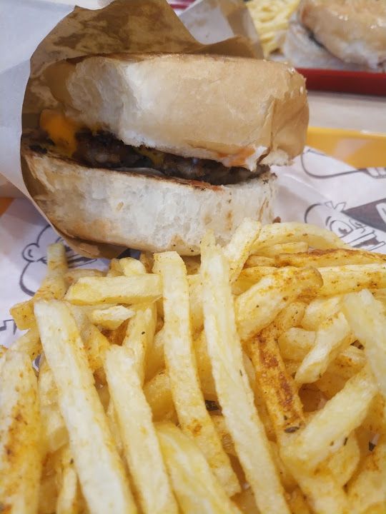 Fotoğraf 16