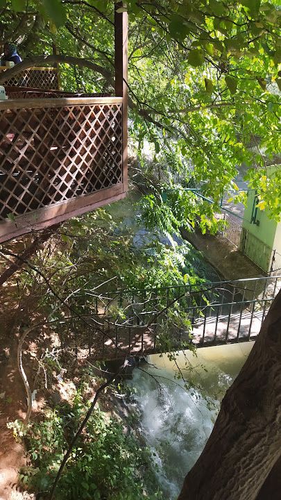 Fotoğraf 18