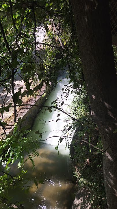 Fotoğraf 17