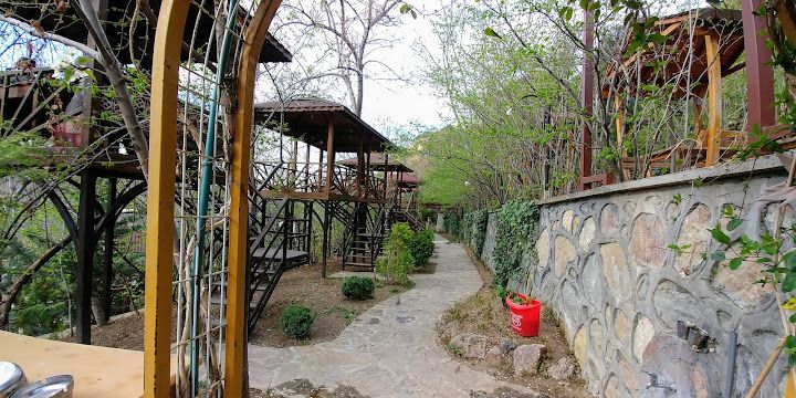 Fotoğraf 22