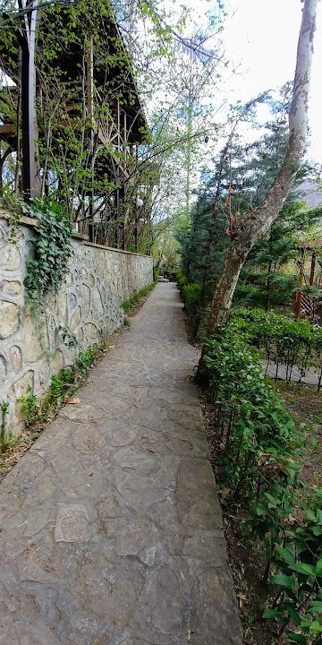 Fotoğraf 21
