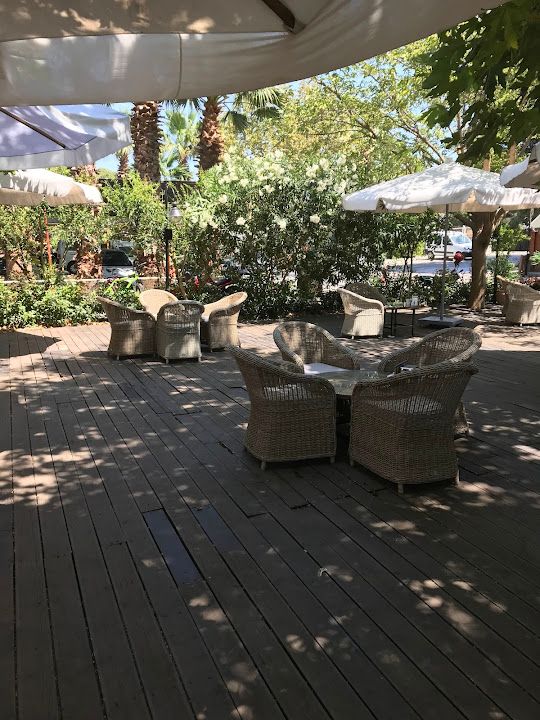 Fotoğraf 23