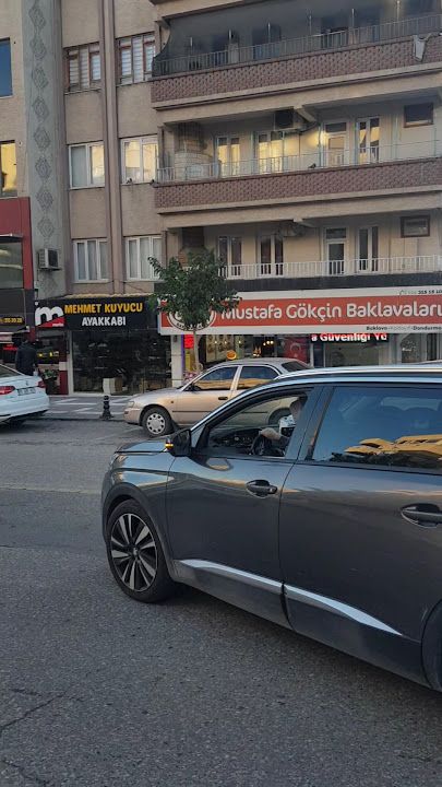 Fotoğraf 14