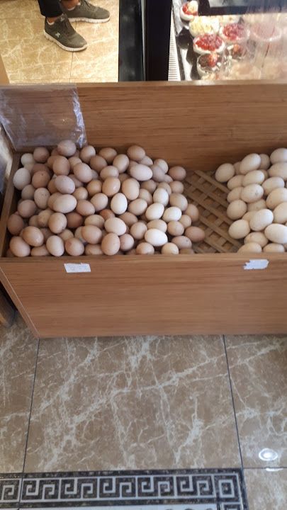 Fotoğraf 20