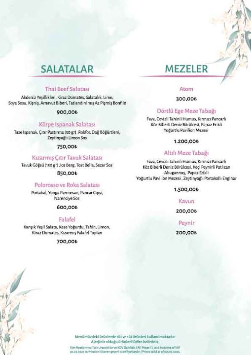 Fotoğraf 28