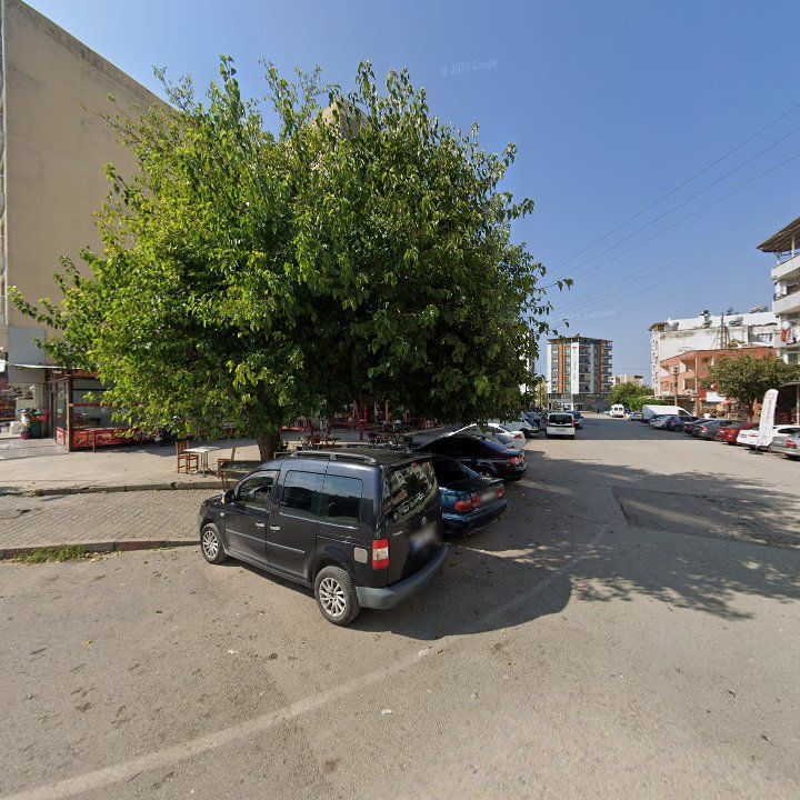 Fotoğraf 3