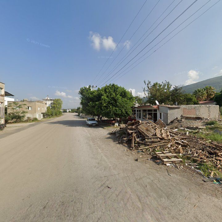 Fotoğraf 5
