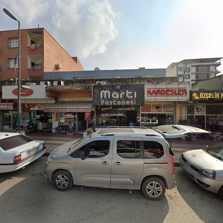 Martı Partanesi
