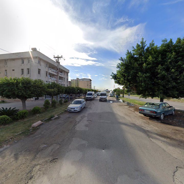 Fotoğraf 2
