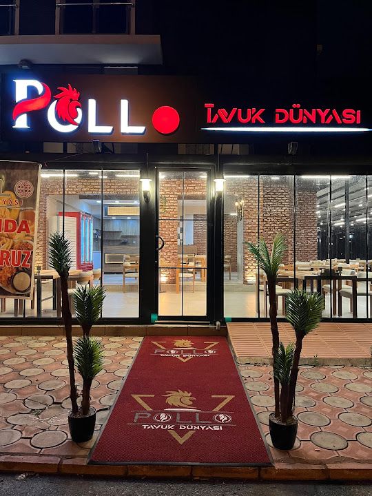 Pollo Tavuk Dünyası