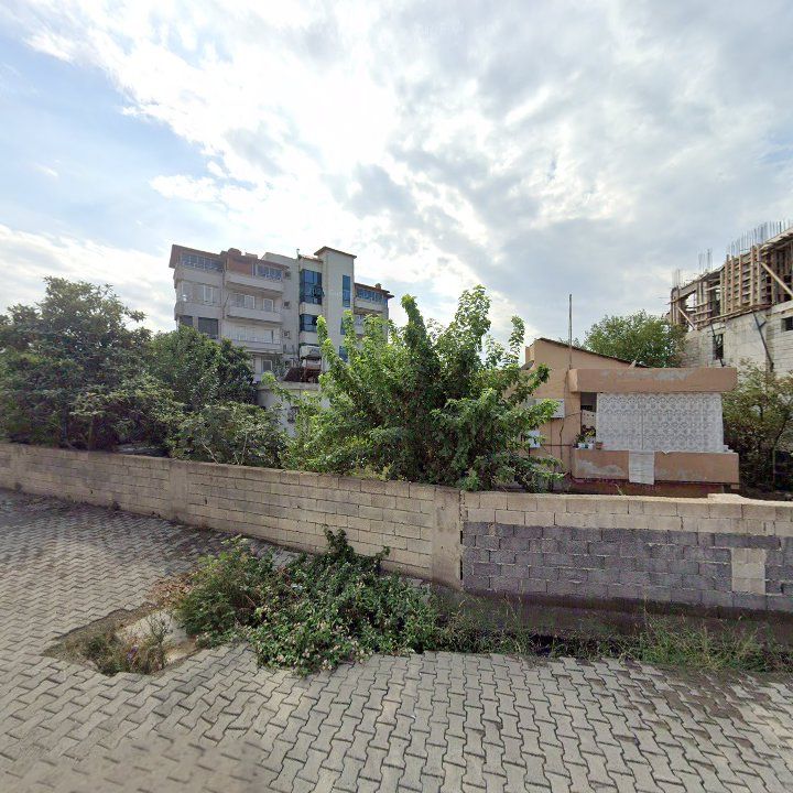 Şamunun Yeri