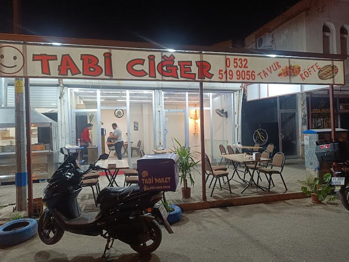 Tabi Ciğer