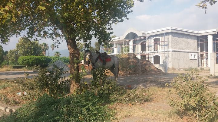 Zeynel'in Yeri
