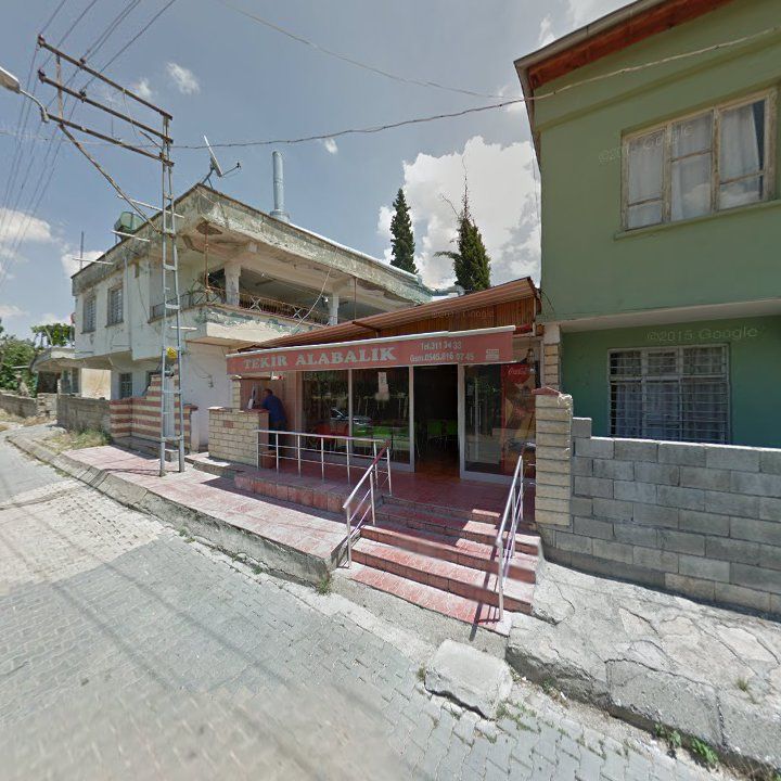 Fotoğraf 8