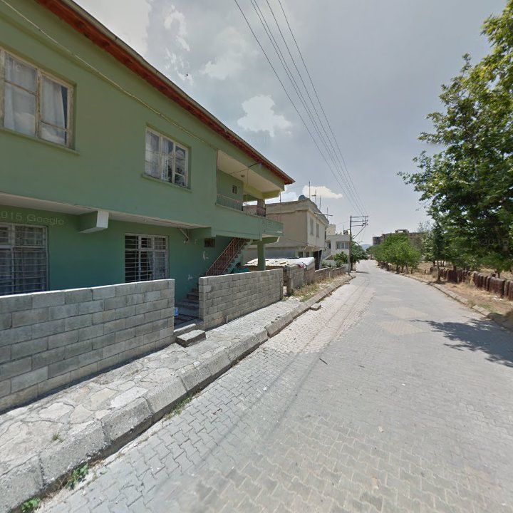 Fotoğraf 9