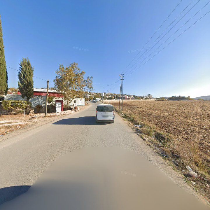 Fotoğraf 8
