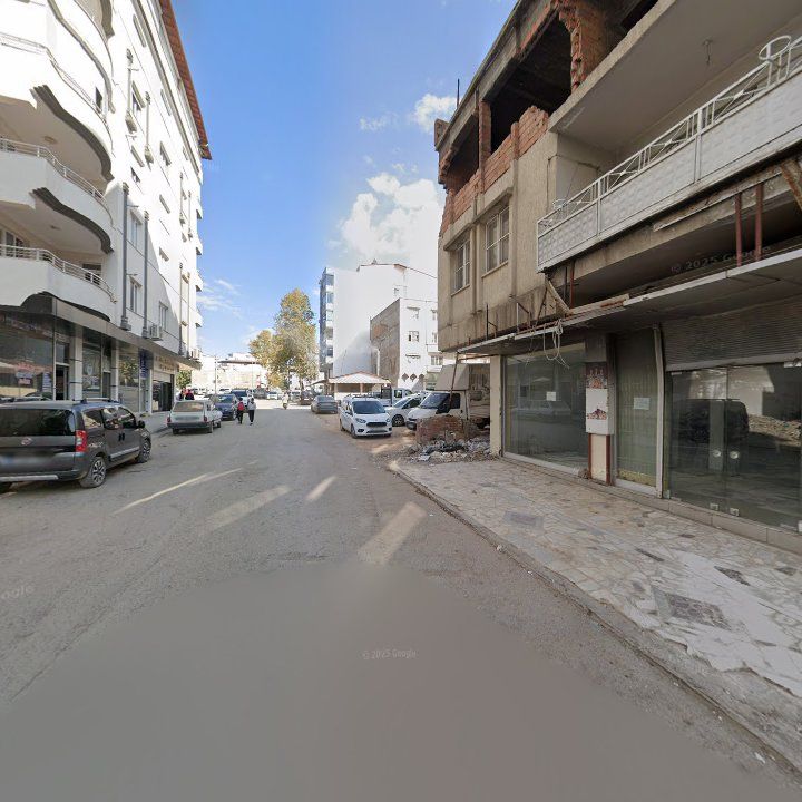 Fotoğraf 8