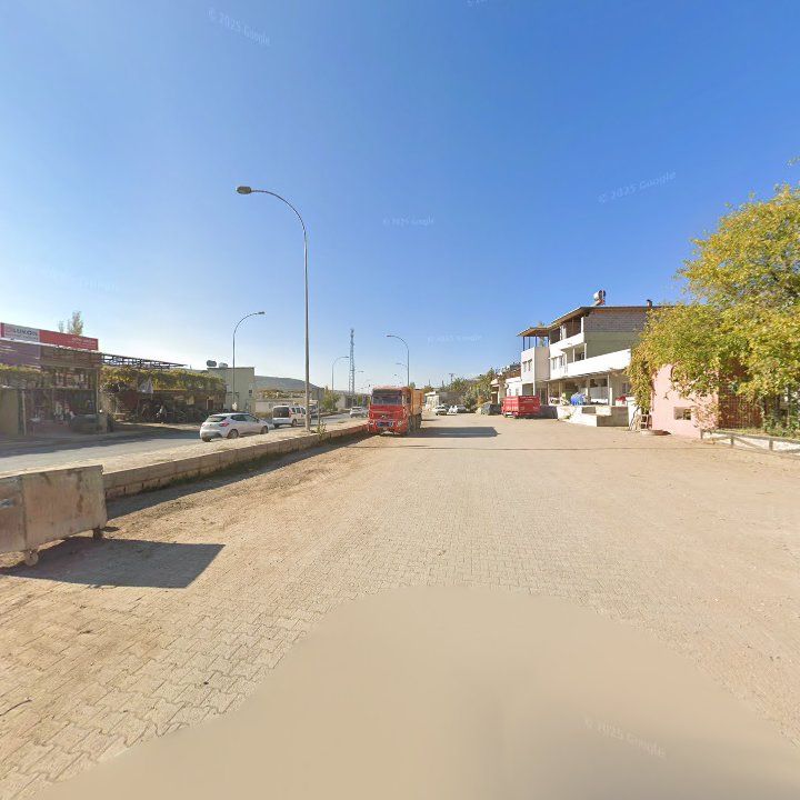 Fotoğraf 9