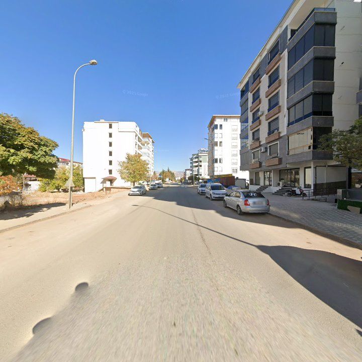 Fotoğraf 10