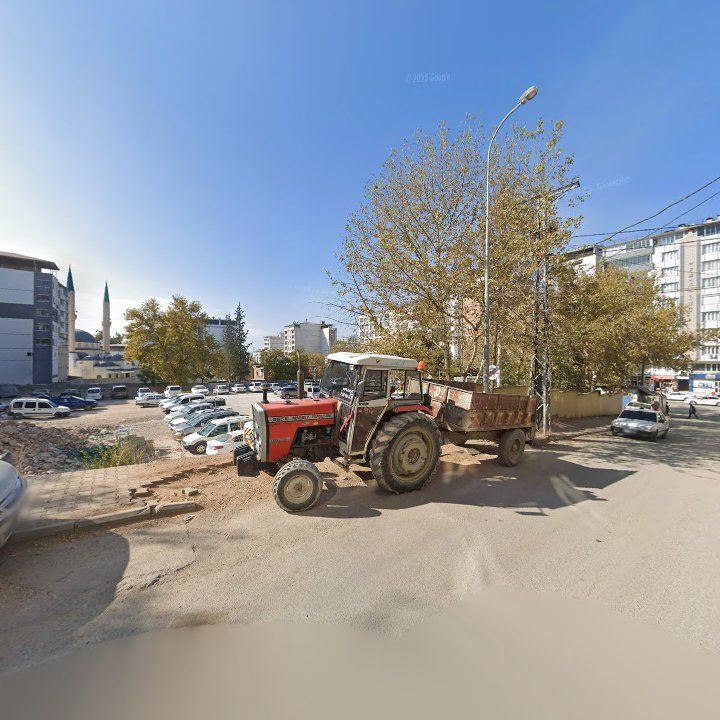 Fotoğraf 3