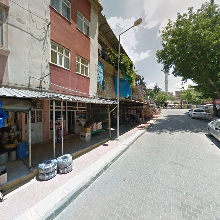 Fotoğraf 5