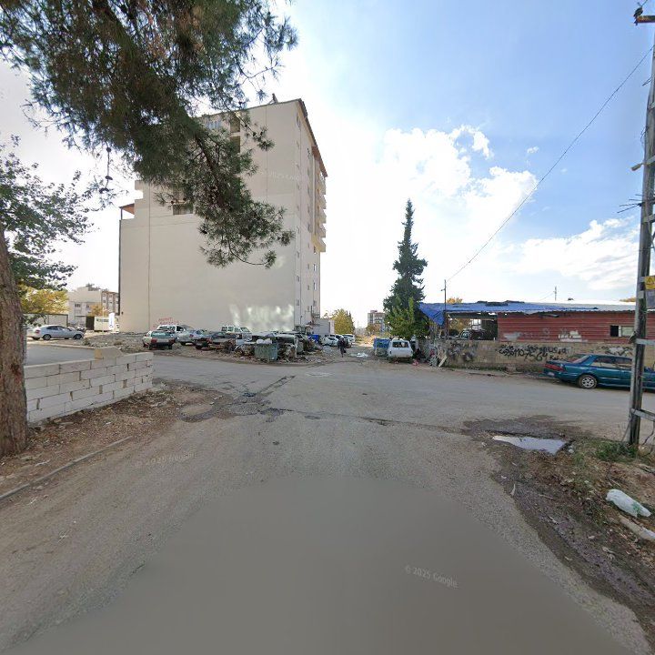 Fotoğraf 9
