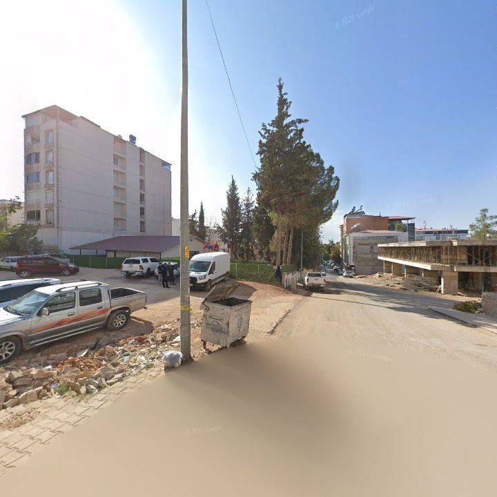 Fotoğraf 7