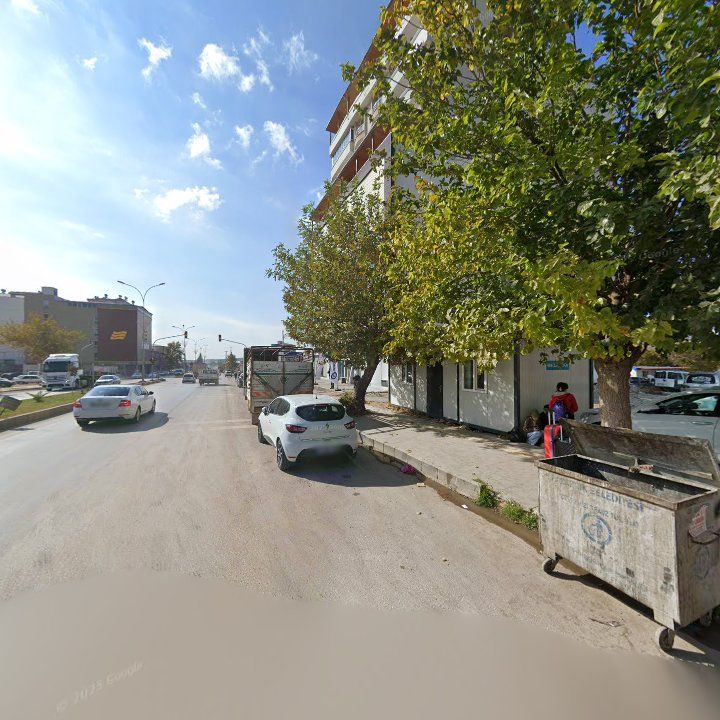 Fotoğraf 7