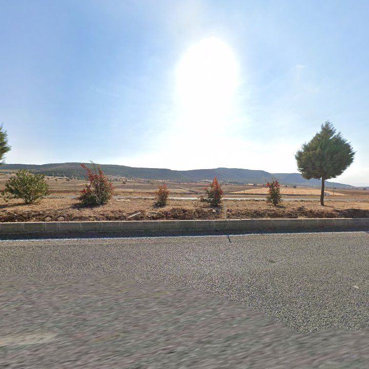 Fotoğraf 7