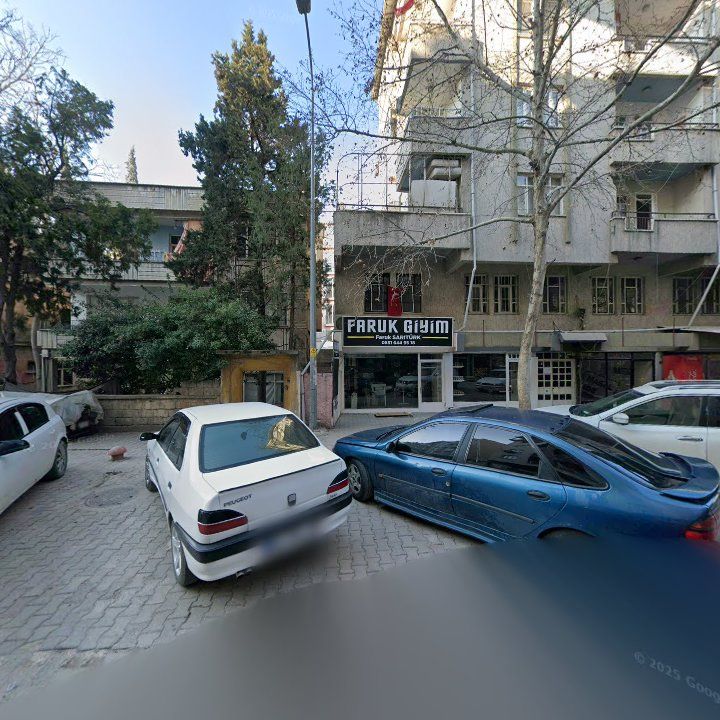 Fotoğraf 11