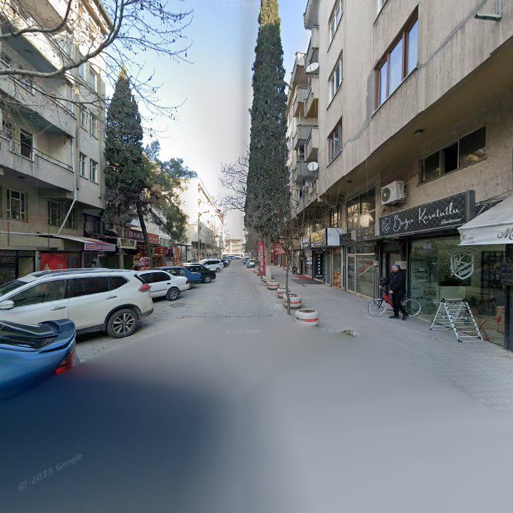 Fotoğraf 12