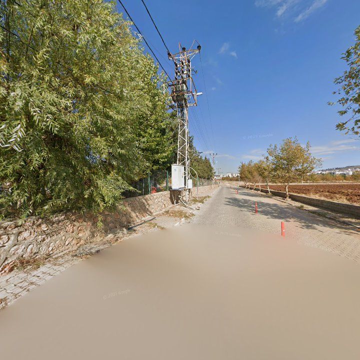 Fotoğraf 6