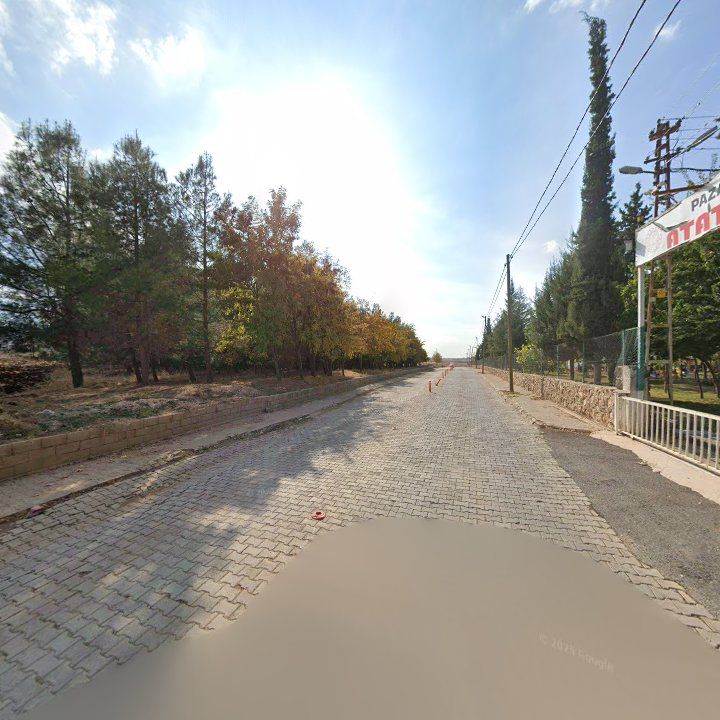 Fotoğraf 8