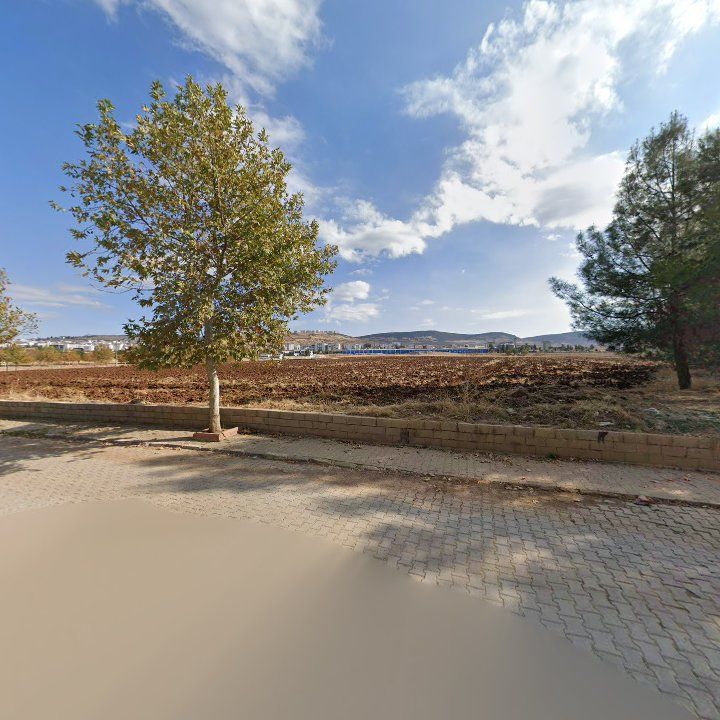 Fotoğraf 7