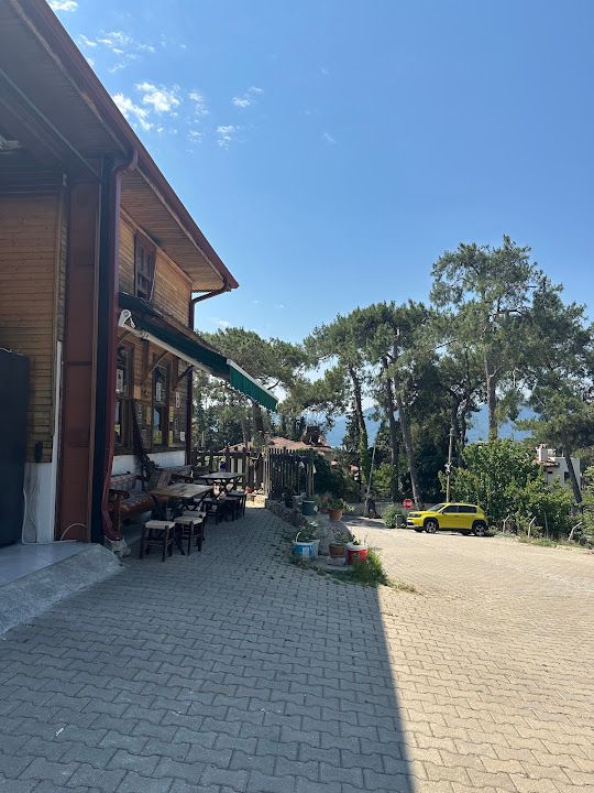 Fotoğraf 24