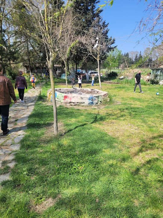 Fotoğraf 13