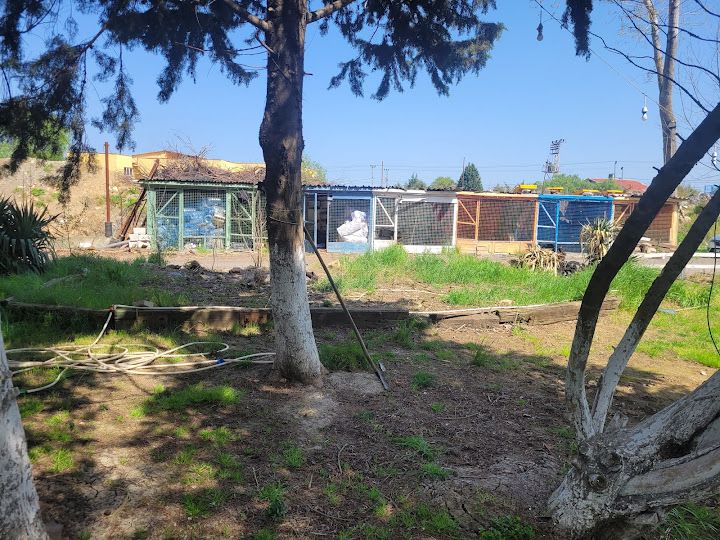 Fotoğraf 15