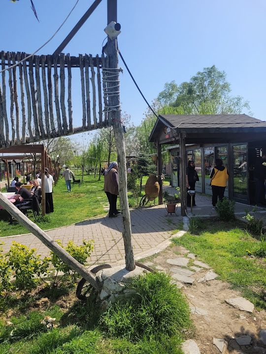 Fotoğraf 12