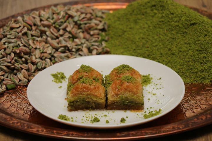 Fotoğraf 14