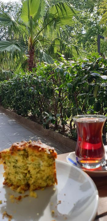 Fotoğraf 31