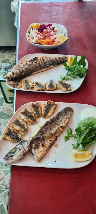 Fotoğraf 17
