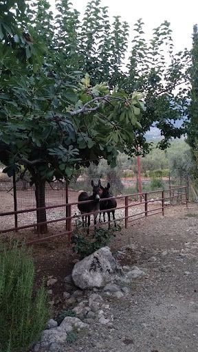 Yorum fotoğrafı 5