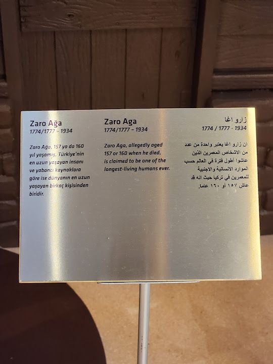 Fotoğraf 21