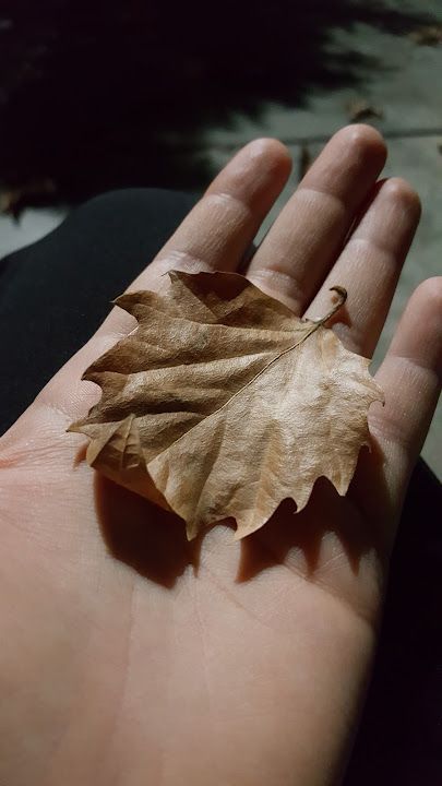 Fotoğraf 37
