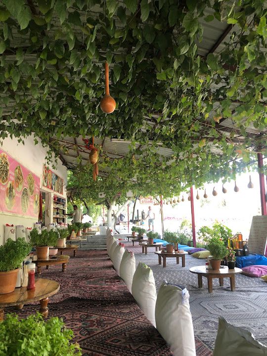 Fotoğraf 17