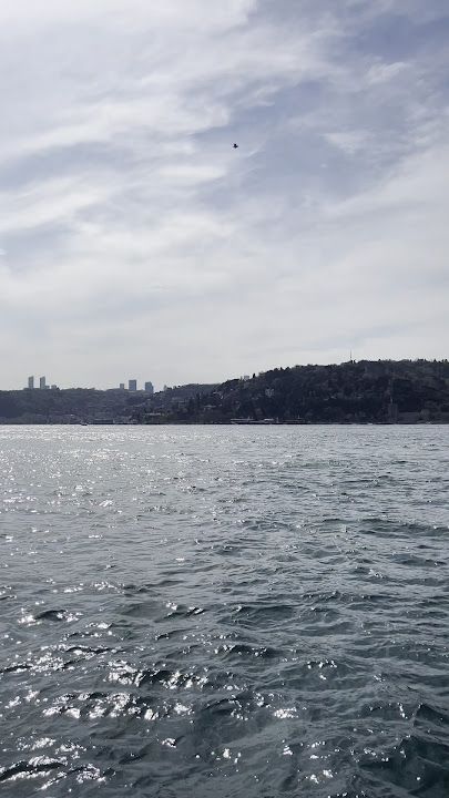 Fotoğraf 81